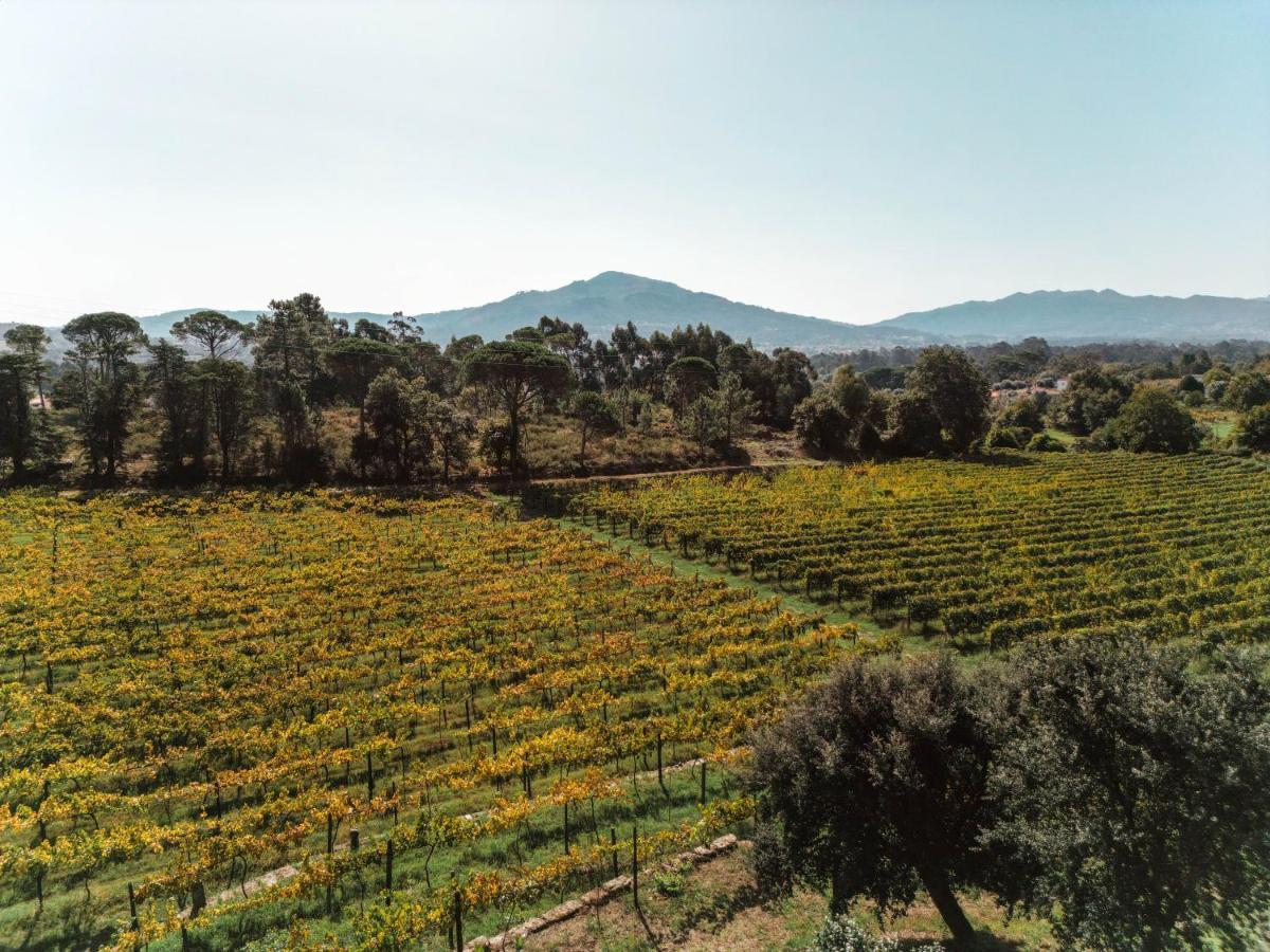 Quinta Do Convento De Val' Pereiras Bed & Breakfast Понте де Лима Екстериор снимка